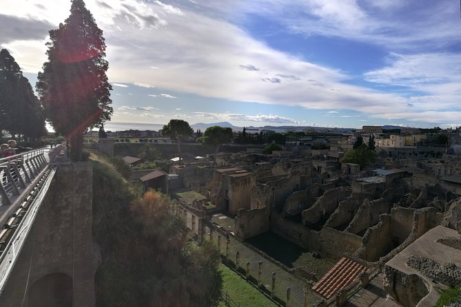 4/hours Half Day Trip Excursion to Herculaneum - Guide included - Meeting the licensed guide at the park