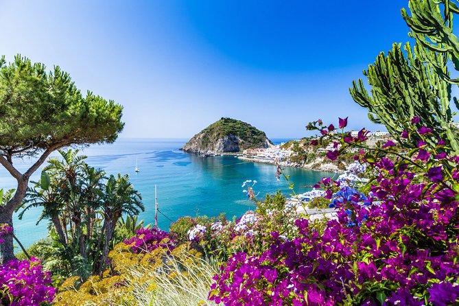 Afternoon Bus Tour of the Island of Ischia - Why a road tour makes sense on Ischia