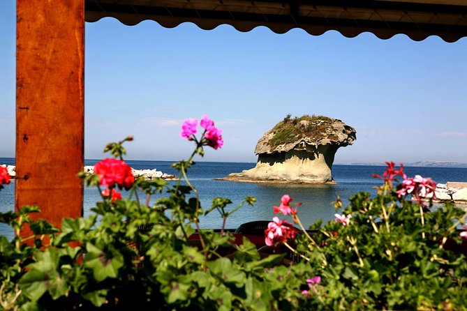 Afternoon Bus Tour of the Island of Ischia - From Ischia Porto to the island’s western side