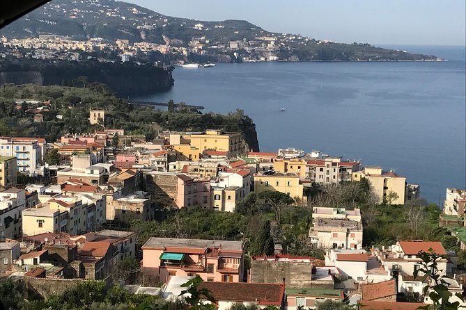Amalfi Coast Tour Full Day 8 Hours from Naples or Sorrento - Why a private car makes sense on the Amalfi Coast