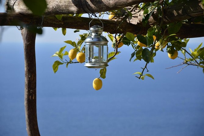 Amalfi Ravello Positano Tour - Why this private Naples day trip works