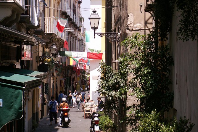 Beauty and History Tour: Positano, Sorrento, Pompeii (FullDay 8h) - What the driver does, and what the driver does not do