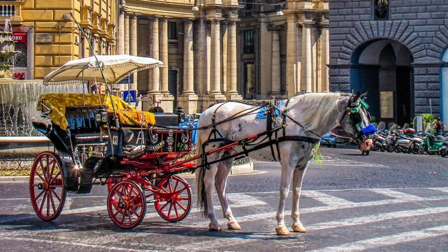 Best of Naples: Private Walking Tour with a Local - What the guide can add to your Naples plans