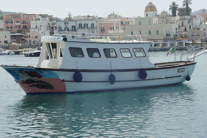 Boat tour of the island of Ischia with lunch and bath - Swimming in bays and near caves