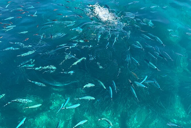 Boat Tour to Procida and Ischia, discover Private Secret Beaches - Why this boat day feels different