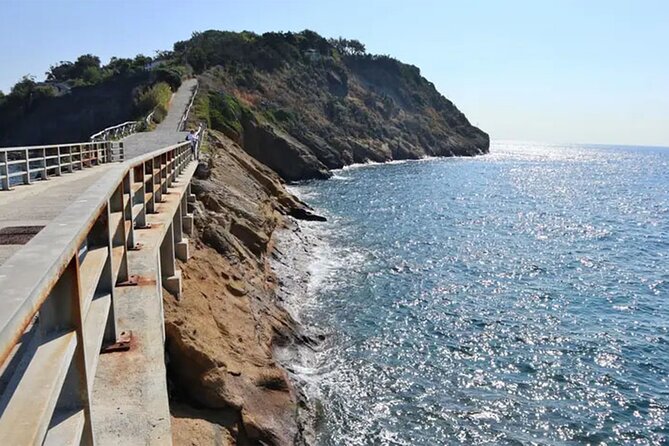 Boat Tour to Procida and Ischia, discover Private Secret Beaches - Solchiaro and the golden-hour cove at Punta di Pizzaco