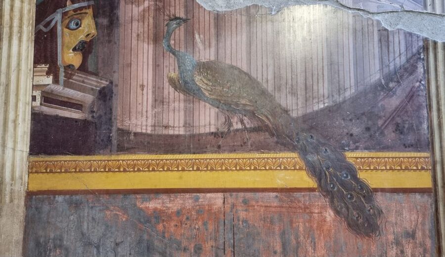 Campania: Pompei+Herculaneum+Vesuvius audio guide - Five days, but plan your order carefully