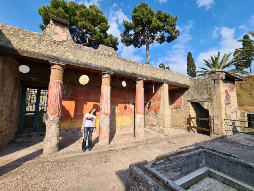 Campania: Pompei+Herculaneum+Vesuvius audio guide - Vesuvius with a guide in your pocket