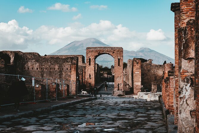 Customizable Private Tour of Herculaneum & Pompeii - Cantina Del Vesuvio adds food and mountain views