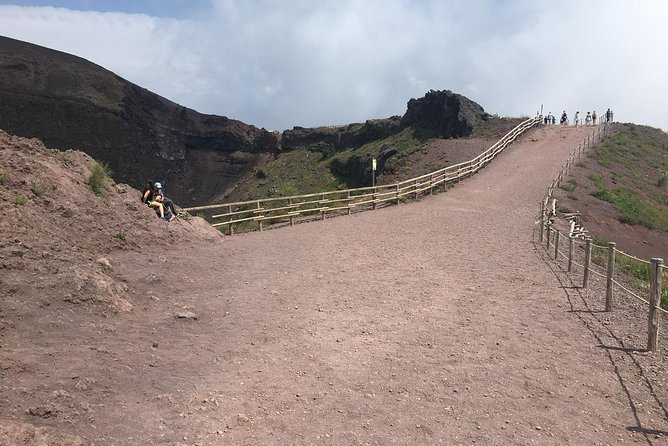 Daily Excursion Full Day 8 Hours ( Vesuvio Pompei) - Pompeii Archaeological Park in a two-hour visit