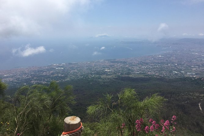 Daily Excursion Full Day 8 Hours ( Vesuvio Pompei) - The guide style and personal touch