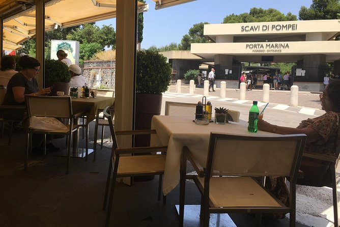 Daily Excursion Full Day 8 Hours ( Vesuvio Pompei) - Starting at 8:00 am with a private driver