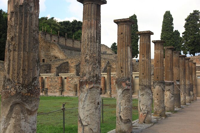 Day Trip of Pompeii, Herculaneum and Vesuvius from Naples - The driver makes or breaks the day