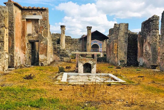 Day trip to Pompeii from Naples - Independent sightseeing, not a guided walking tour