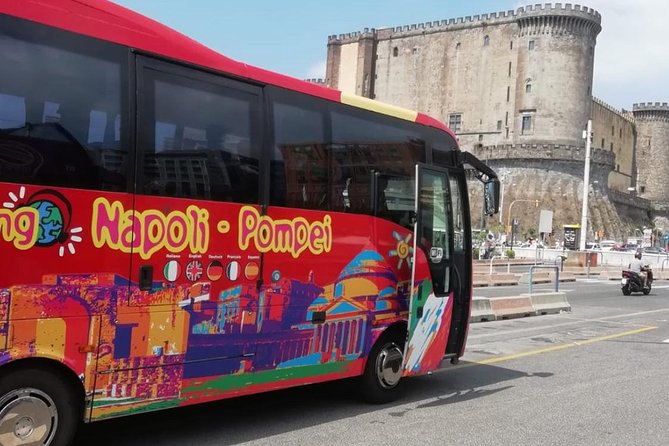 Day trip to Pompeii from Naples - Accessibility and participation