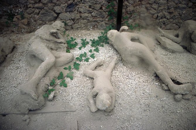 Daytrip from Naples port to Pompei, Sorrento & Positano - Positano and the Amalfi Coast road