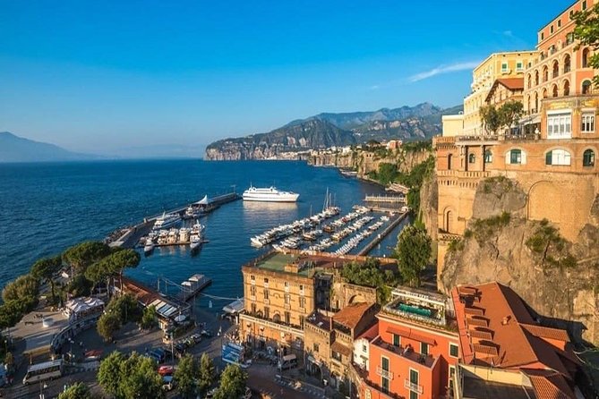 Daytrip from Naples port to Pompei, Sorrento & Positano - Who should book this day trip