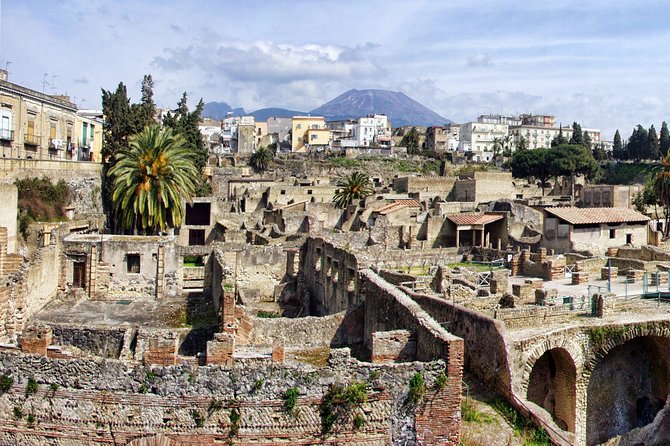 Discovering Pompeii and Herculaneum - VIP Tour with Lunch - Is $253.43 a fair price?