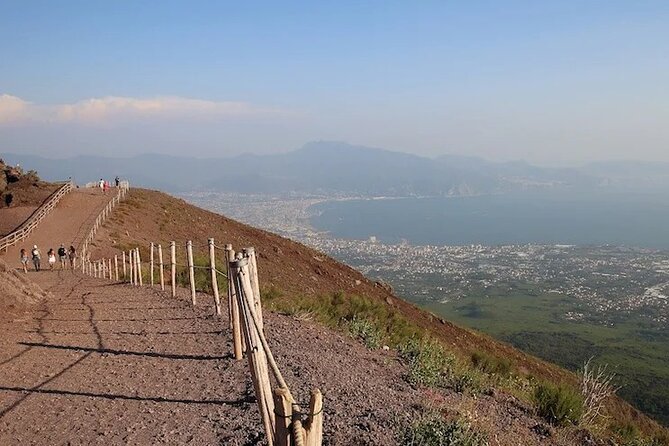 Discovering the Vesuvius - VIP tour / Small group - Walking Mount Vesuvius National Park