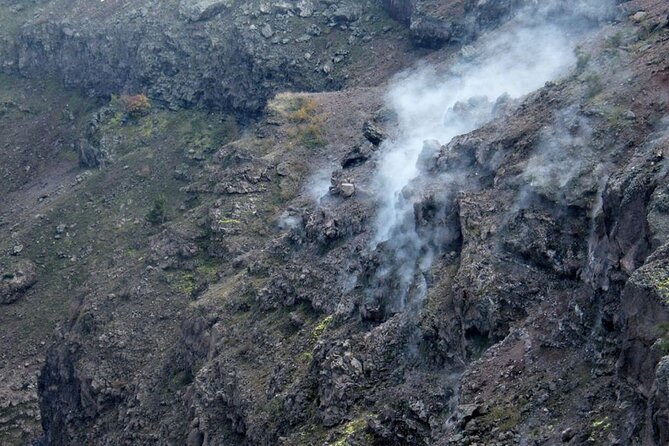 Discovering the Vesuvius - VIP tour / Small group - Who should book this Vesuvius tour?