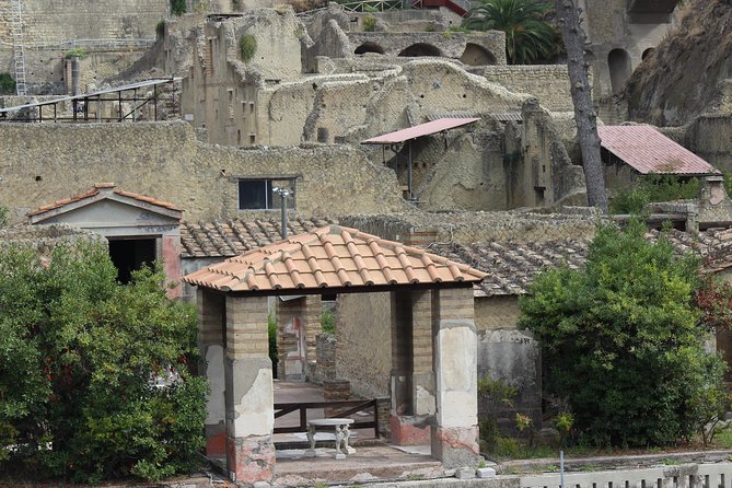 Excavations of Herculaneum. Tour guide and skip-the-line ticket - Why Herculaneum feels different from Pompeii