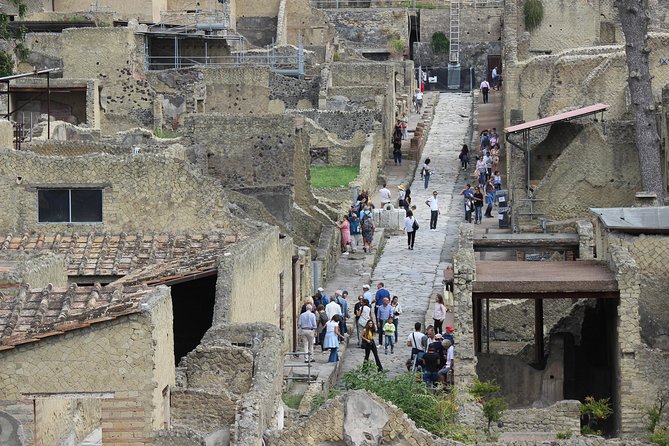 Excavations of Herculaneum. Tour guide and skip-the-line ticket - Houses, mosaics, and the everyday town