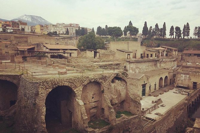Excellence Private Herculaneum Guided Tour with an Archeologist - Why Herculaneum rewards a guided visit