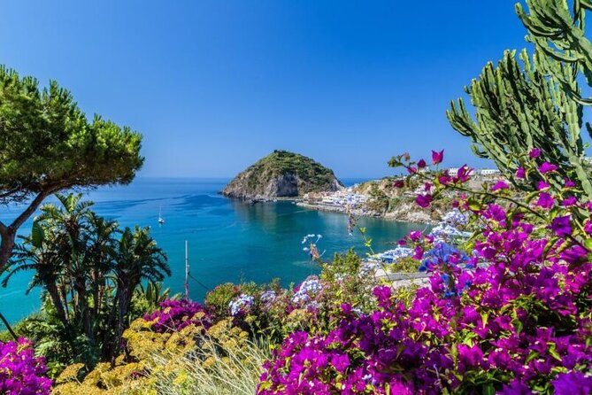 Exclusive Ischia & Procida Luxury Private Boat Cruise - Ischia: thermal springs, gardens, and rocky coast