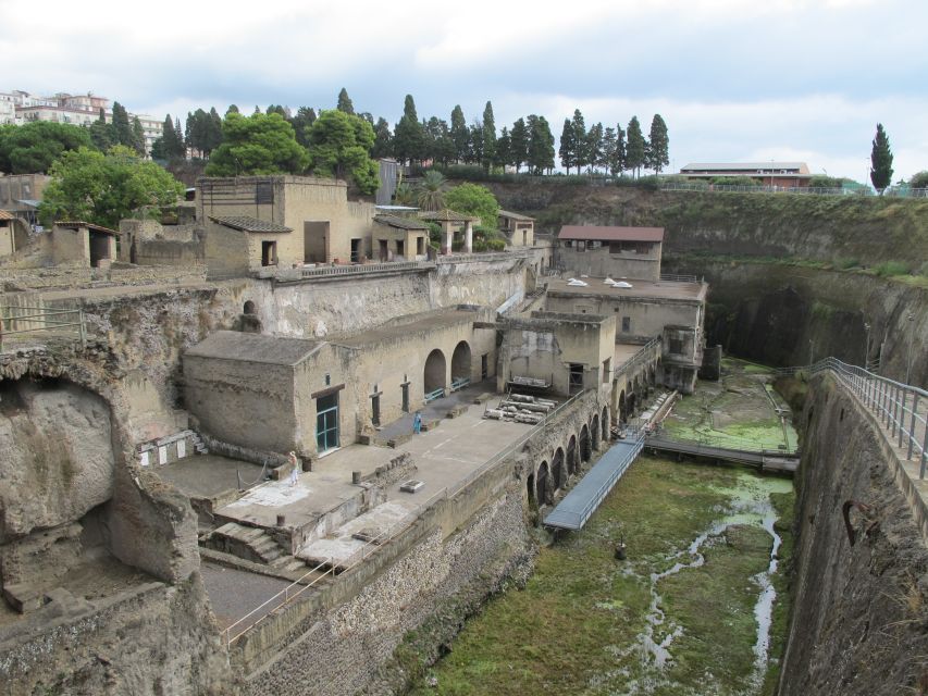 From Naples: 2-Hour Herculaneum Kid-Friendly Tour - What the private format adds