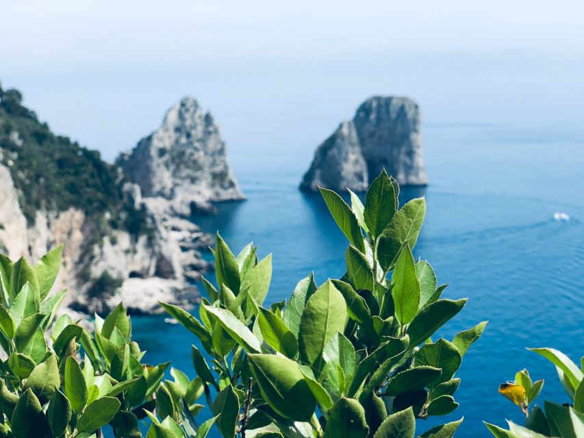 From Naples: Capri and Anacapri - Guided tour - From Naples to Capri by speedboat