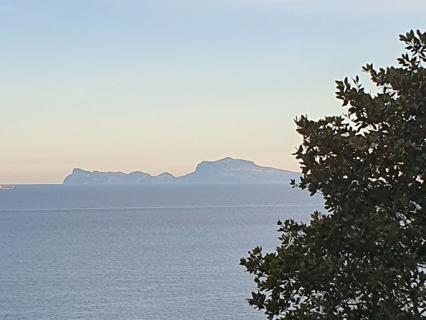 From Naples: Capri Day Trip with Lunch - Anacapri gives you the first real choice