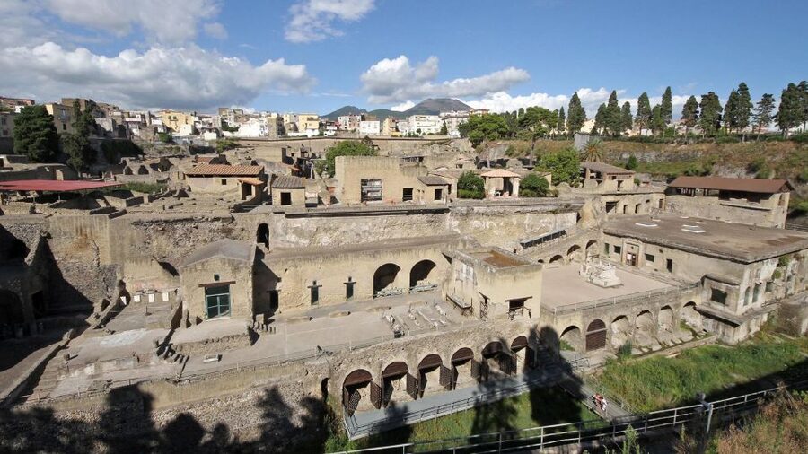From Naples: Day Trip to Herculaneum with skip the line - Is $71 a fair price?