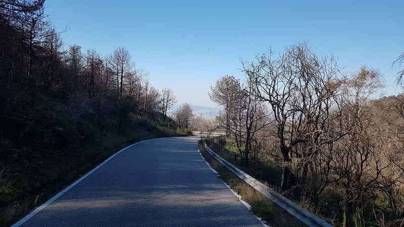 From Naples: Day Trip to Mount Vesuvius - Who should book this Vesuvius trip