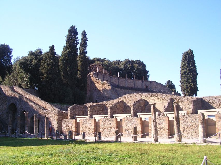 From Naples: Guided Pompei & Mount Vesuvius with Pizza Lunch - Key points to know before booking