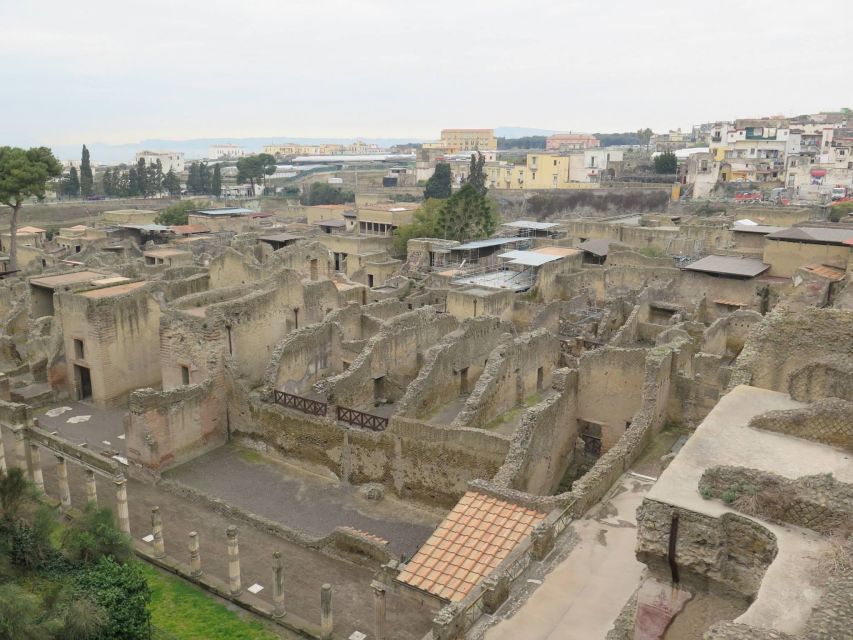 From Naples: Herculaneum, Mount Vesuvius & Pompeii Day Trip - Who will enjoy this day most