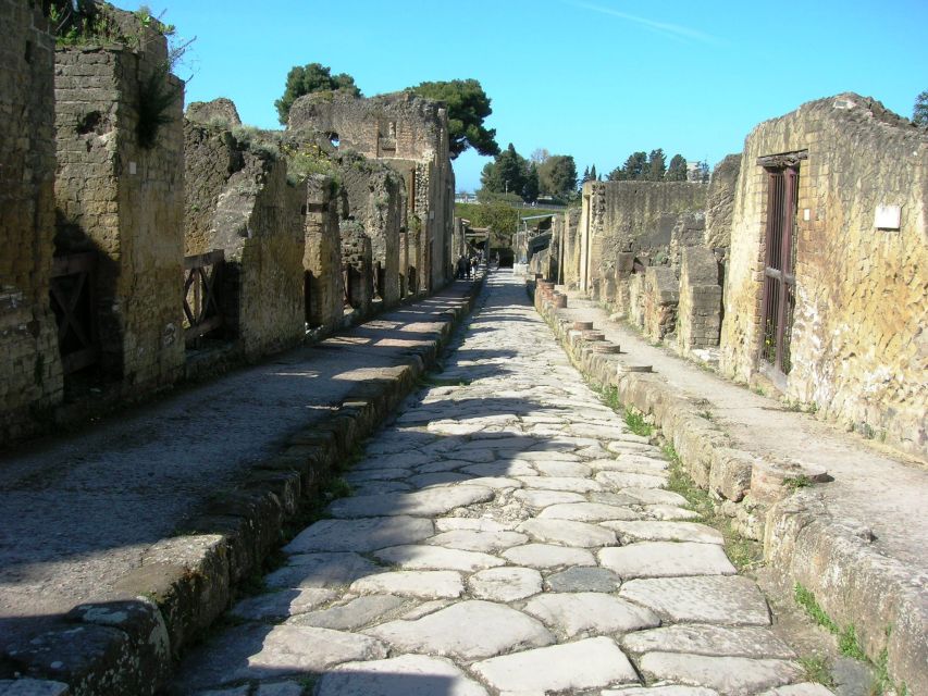 From Naples: Herculaneum Skip-the-Line Guided Tour - Who should book this Herculaneum tour?