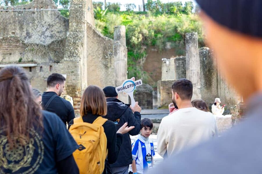 From Naples: Herculaneum Skip-the-Line Guided Tour - The 30-minute minibus ride to Ercolano