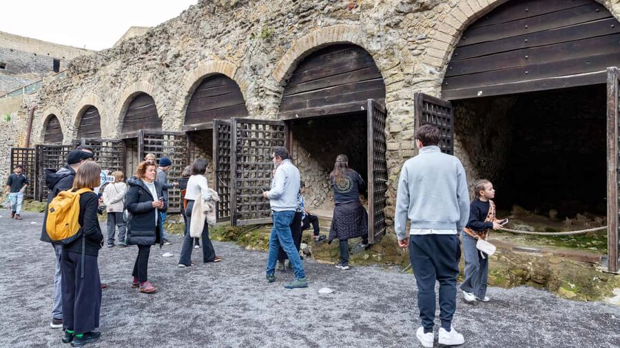 From Naples: Herculaneum Skip-the-Line Guided Tour - Is $63 a fair price?