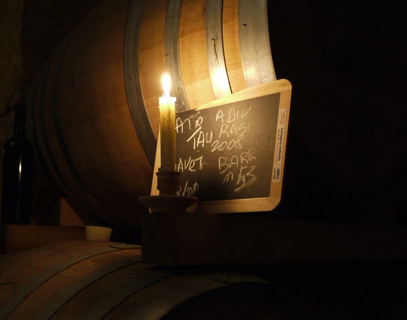 From Naples: Irpinia Wine Tour with 6 Tastings - Who should choose this Irpinia tour?