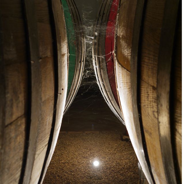 From Naples: Irpinia Wine Tour with 6 Tastings - Tenuta Donna Elvira in Montemiletto