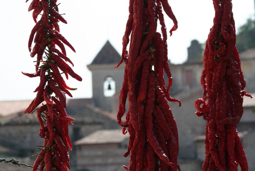 From Naples: Irpinia Wine Tour with 6 Tastings - The ride east from Naples