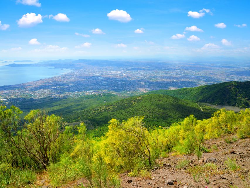 From Naples: Mount Vesuvius and Pompeii Ruins Combo Day Trip - Pompeii, with freedom and a clock