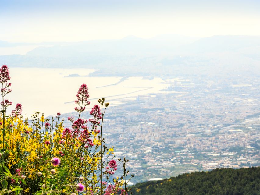 From Naples: Mount Vesuvius and Pompeii Ruins Combo Day Trip - Why the lack of a personal guide matters