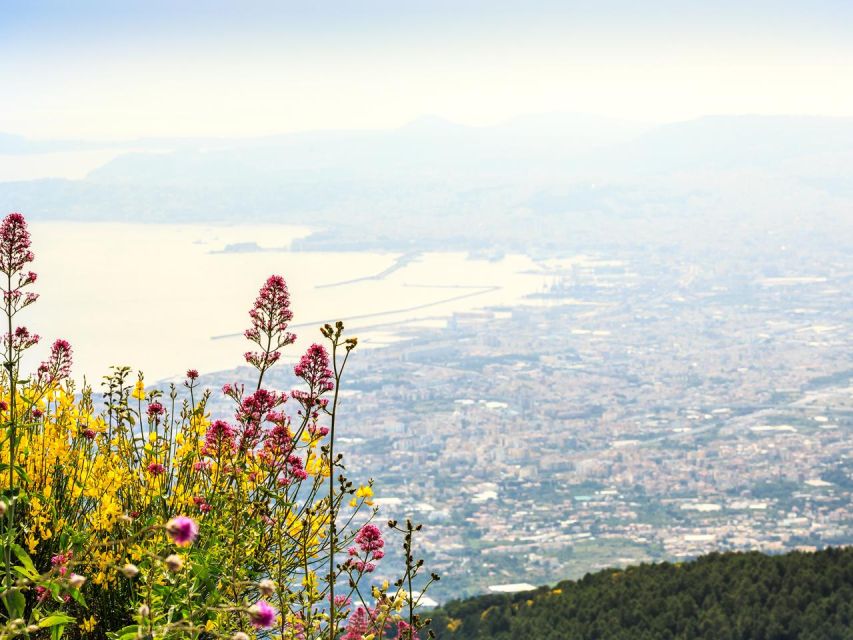 From Naples: Mount Vesuvius Transfer with Entry Tickets - What you see around the crater
