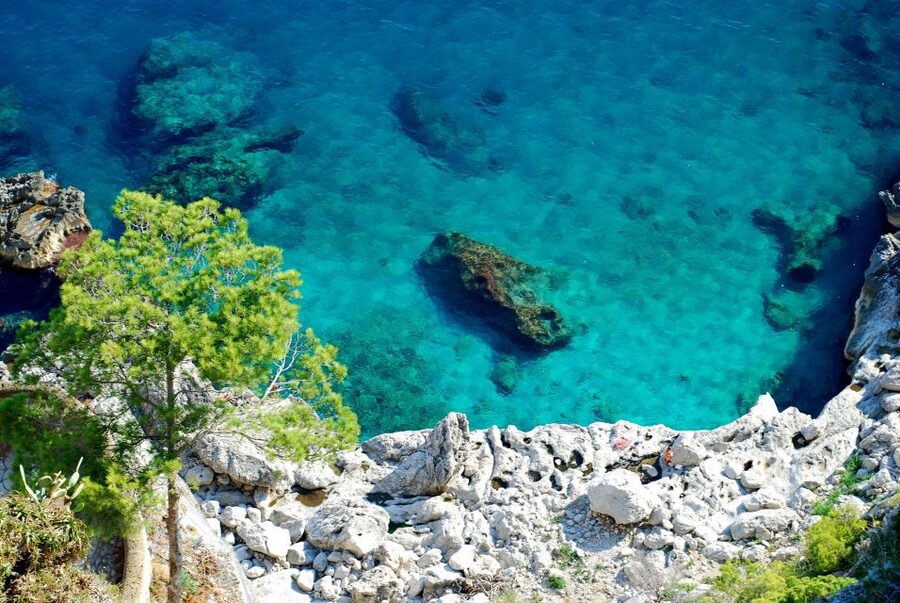 From Naples: Pompeii and Amalfi Coast Full-Day Private Tour - The road to Positano and Amalfi