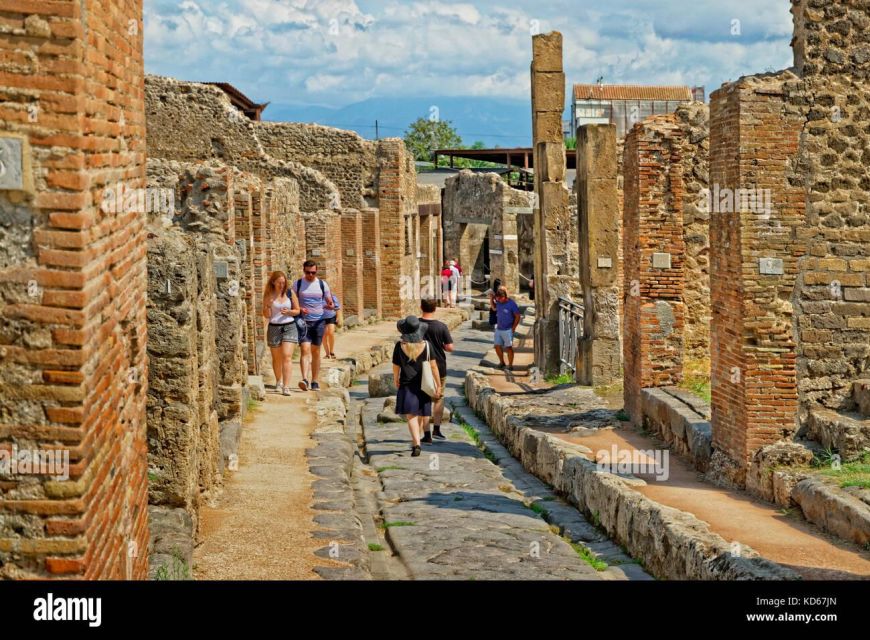 From Naples: Pompeii and Vesuvius Day Tour - Who should book this experience?