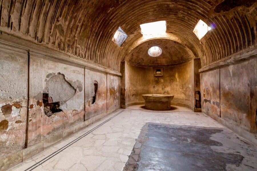 From Naples: Pompeii and Vesuvius Full-Day Tour with Lunch - What the $113.29 price includes