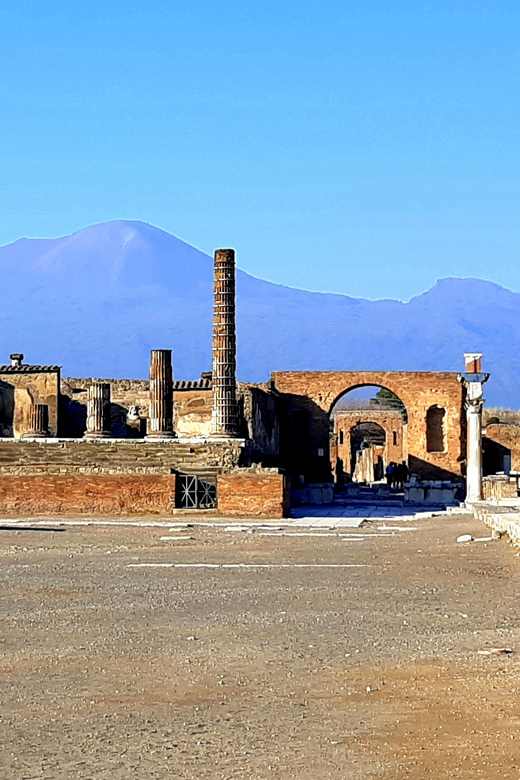 From Naples: Pompeii and Vesuvius Tour with Ticket Options - Walking through Pompeii in about two hours