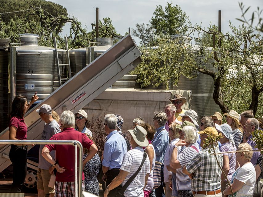 From Naples: Pompeii and Wine Tasting Tour with Lunch - Key points to know before booking