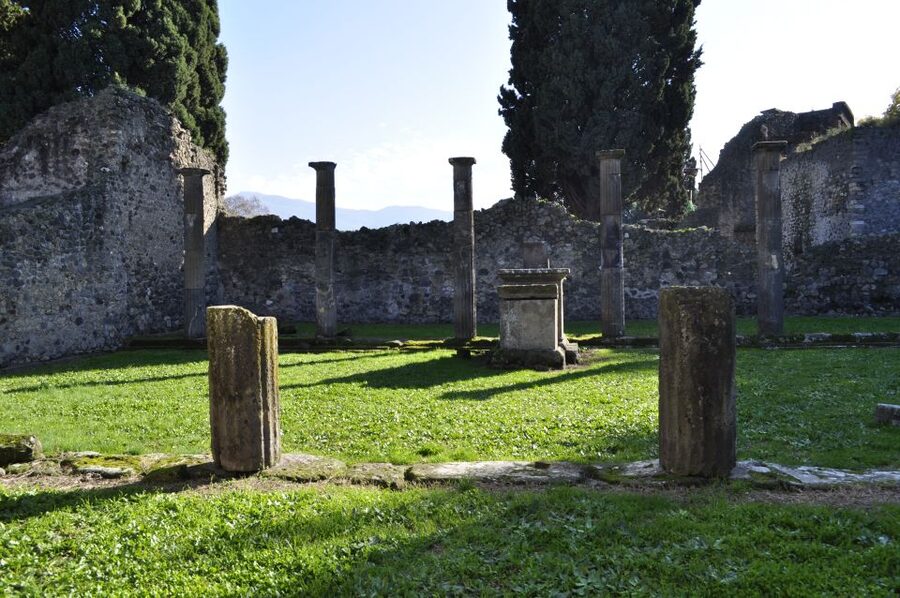 From Naples: Pompeii and Wine Tasting Tour with Lunch - From Roman streets to Vesuvius vineyards